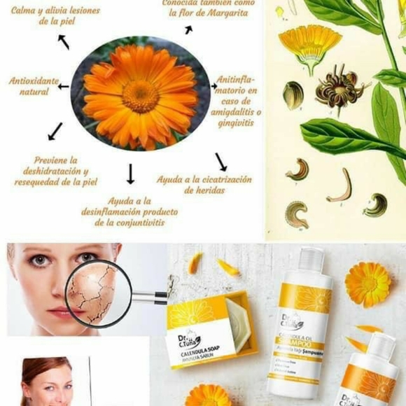 Skin Care - Picture 13 of 16